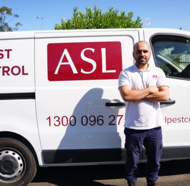 ASL Pest Control SEO